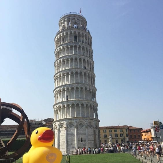 babydam ducks visit the leaning tower of Pisa