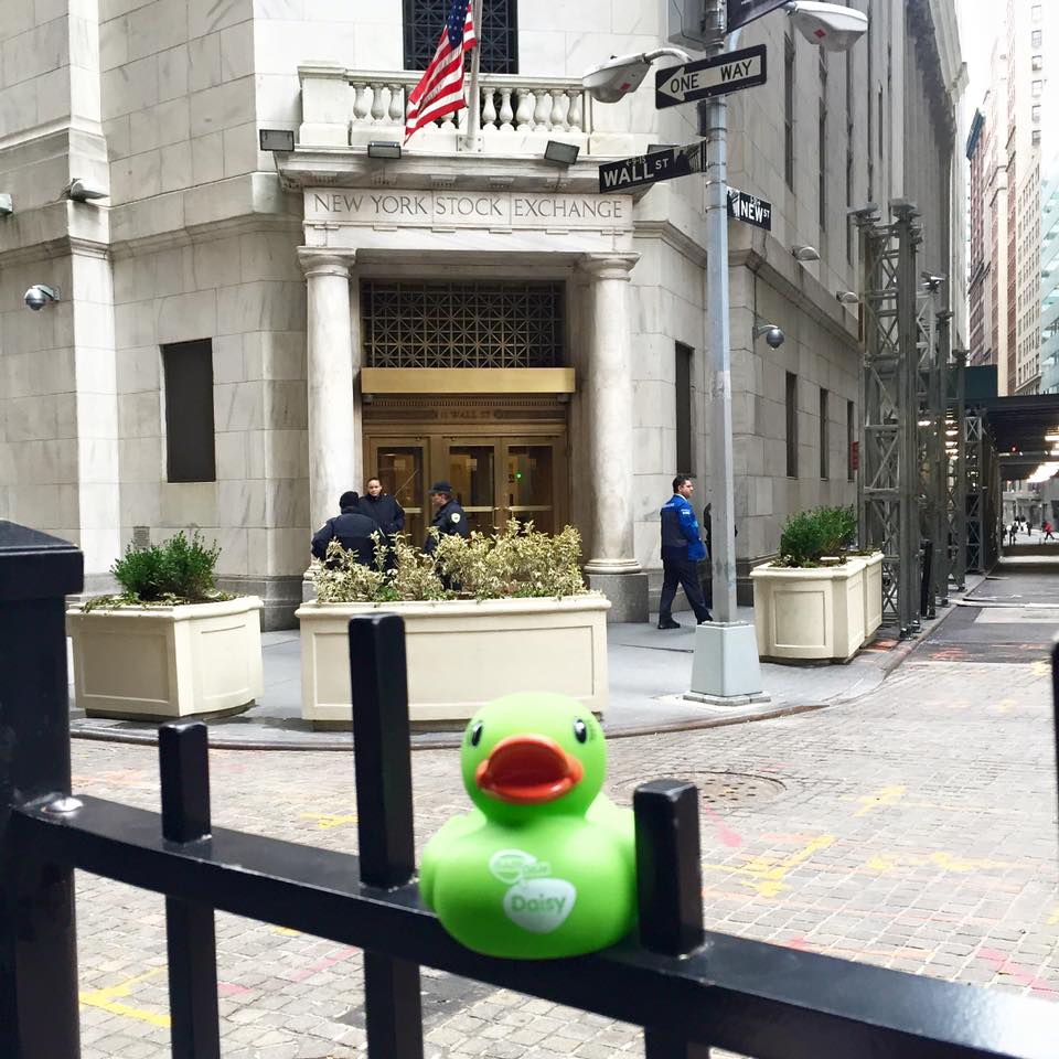 The BabyDam ducks visit the New York stock exchange