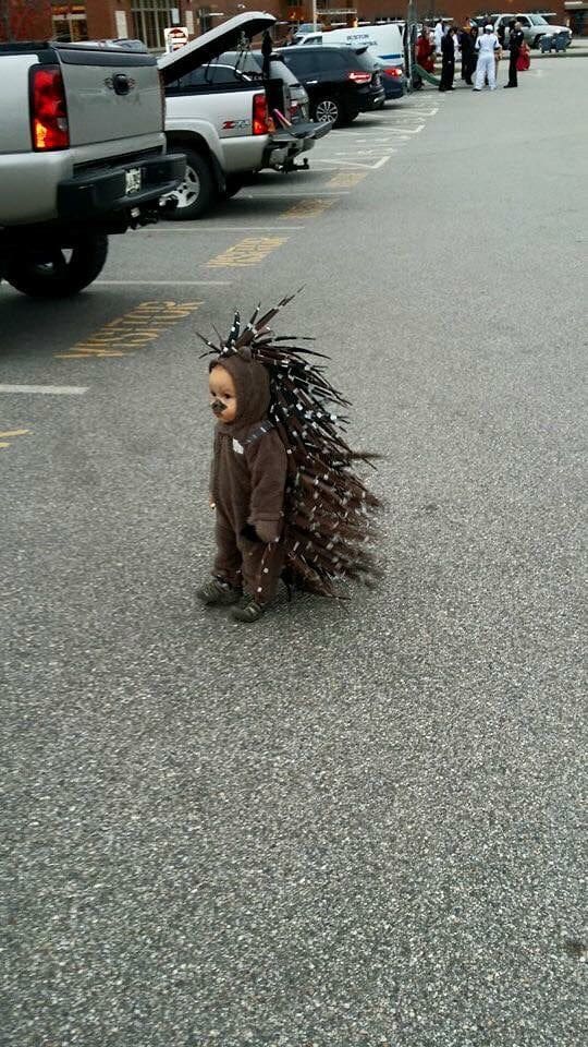 halloween baby porcupine outfit